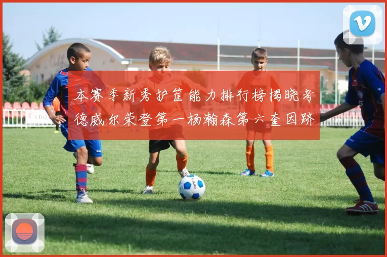 本赛季新秀护筐能力排行榜揭晓考德威尔荣登第一杨瀚森第六奎因跻身前十